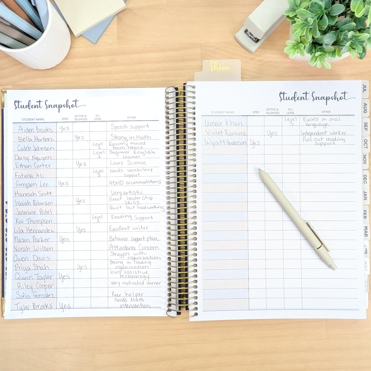 Merci Teacher Planner