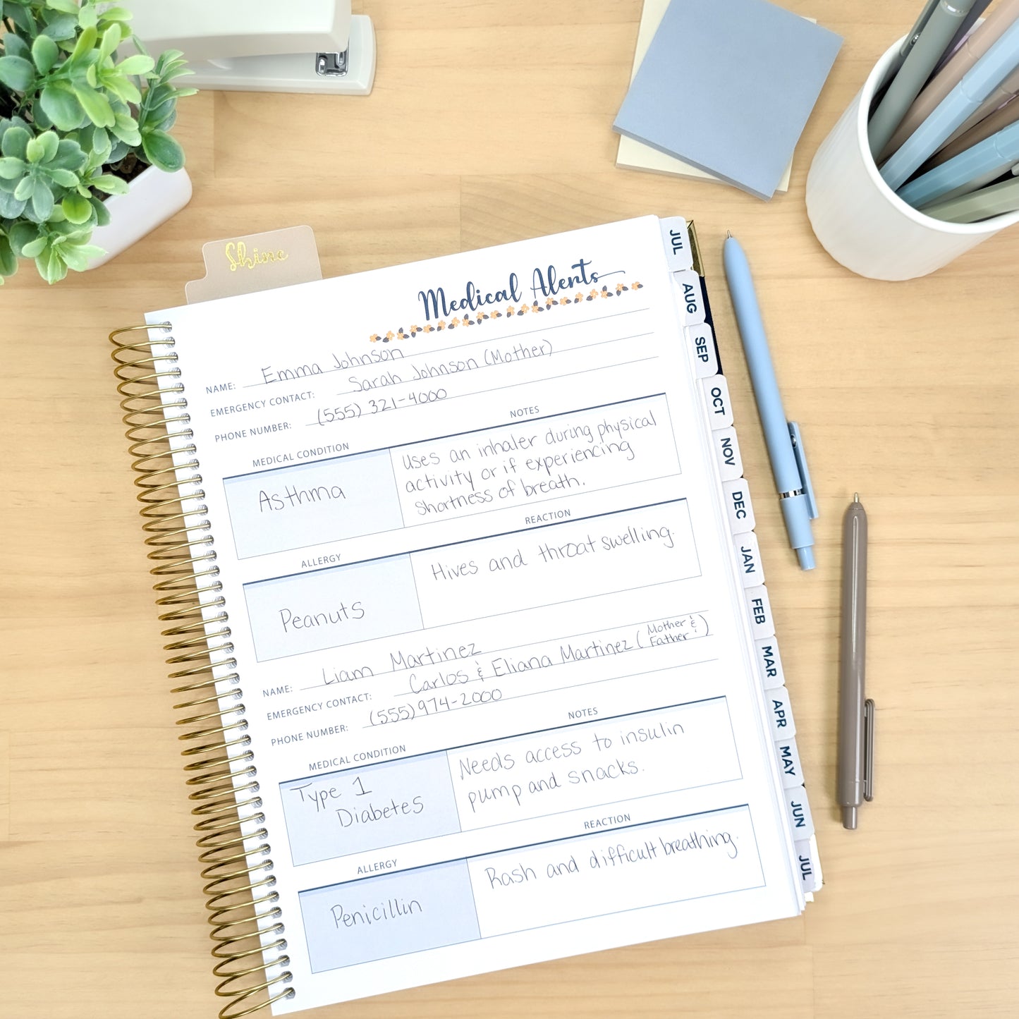 Merci Teacher Planner